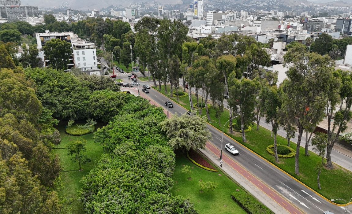 Explorar los parques en San Borja es descubrir espacios seguros, limpios y perfectamente diseñados para el esparcimiento.